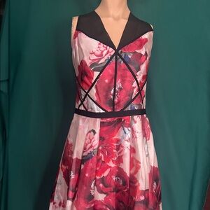 Floral Sleeveless Dress with Black Mesh Detail